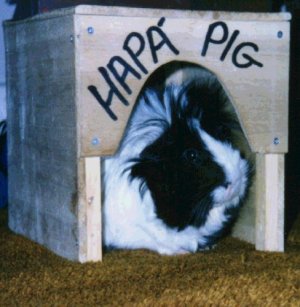 Hapa in her house