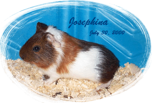 Josephina